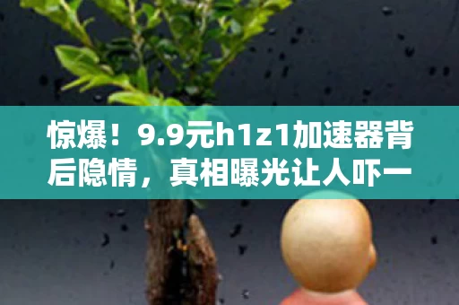 惊爆!9.9元h1z1加速器背后隐情,真相曝光让人吓一跳! 惊爆!9.9元h1z1加速器背后隐情,真相曝光让人吓一跳!