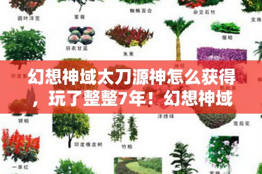 幻想神域太刀源神怎么获得,玩了整整7年!幻想神域太刀源神选谁?3大候选让我纠结到失眠! 幻想神域太刀源神怎么获得,玩了整整7年!幻想神域太刀源神选谁?3大候选让我纠结到失眠!