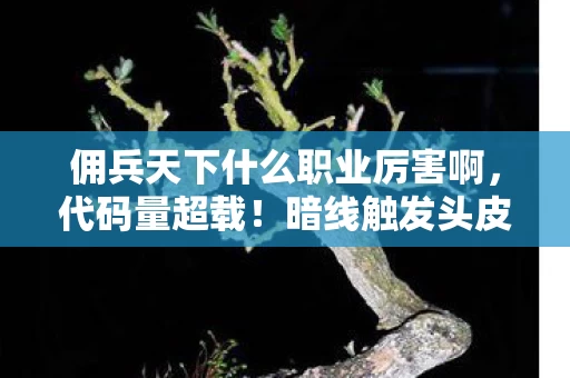 佣兵天下什么职业厉害啊,代码量超载!暗线触发头皮发麻的量子级职业杀招 佣兵天下什么职业厉害啊,代码量超载!暗线触发头皮发麻的量子级职业杀招