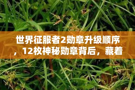 世界征服者2勋章升级顺序,12枚神秘勋章背后,藏着多少征服者未说破的终极秘密? 世界征服者2勋章升级顺序,12枚神秘勋章背后,藏着多少征服者未说破的终极秘密?