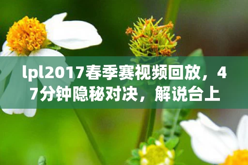 lpl2017春季赛视频回放,47分钟隐秘对决,解说台上的哽咽,藏着多少人的青春暗号 lpl2017春季赛视频回放,47分钟隐秘对决,解说台上的哽咽,藏着多少人的青春暗号