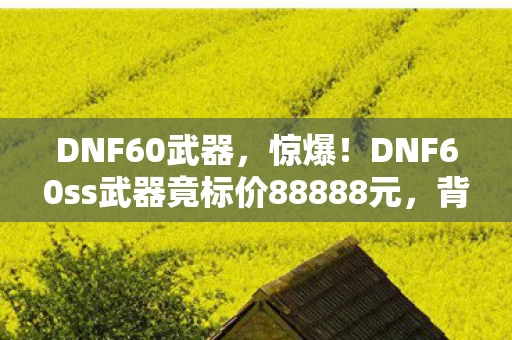 DNF60武器,惊爆!DNF60ss武器竟标价88888元,背后隐情让人吓一跳! DNF60武器,惊爆!DNF60ss武器竟标价88888元,背后隐情让人吓一跳!