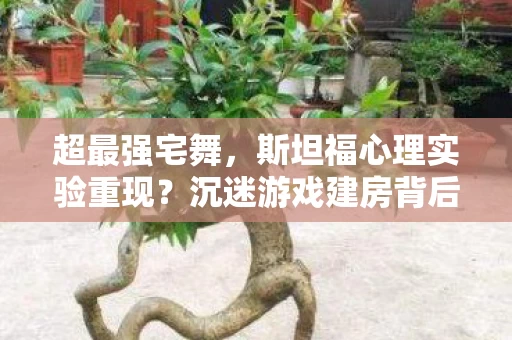 超最强宅舞,斯坦福心理实验重现?沉迷游戏建房背后,细思极恐的多巴胺陷阱 超最强宅舞,斯坦福心理实验重现?沉迷游戏建房背后,细思极恐的多巴胺陷阱