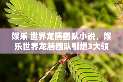 娱乐 世界龙腾团队小说,娱乐世界龙腾团队引爆3大领域,97%从业者惊呼行业规则被改写,这波情怀杀竟藏着万亿级新蓝海? 娱乐 世界龙腾团队小说,娱乐世界龙腾团队引爆3大领域,97%从业者惊呼行业规则被改写,这波情怀杀竟藏着万亿级新蓝海?