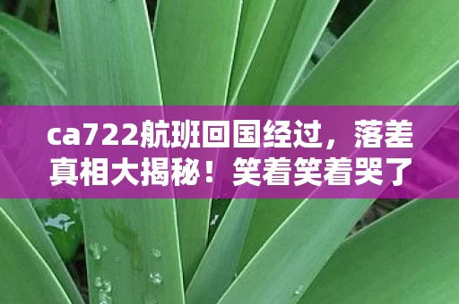 ca722航班回国经过,落差真相大揭秘!笑着笑着哭了,cdec大师赛排名竟成这? ca722航班回国经过,落差真相大揭秘!笑着笑着哭了,cdec大师赛排名竟成这?