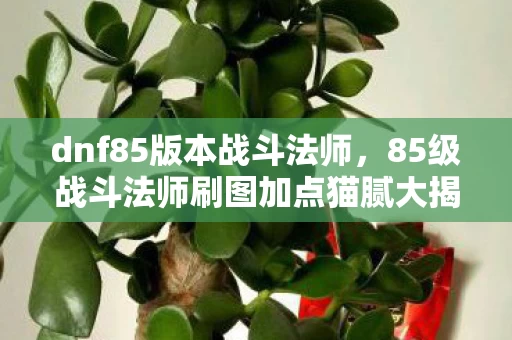 85级战斗法师刷图加点猫腻大揭秘图片