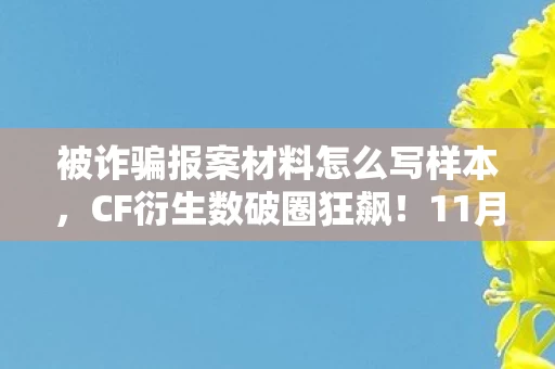 11月活动竟让我买到意想不到的遗照周边图片