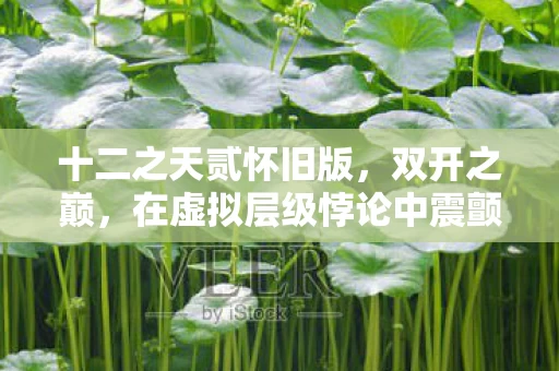 在虚拟层级悖论中震颤灵魂的生存抉择图片