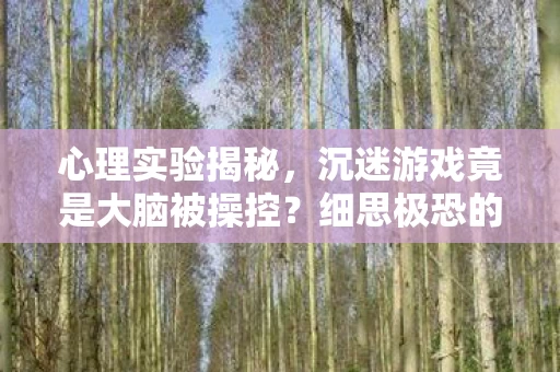 沉迷游戏竟是大脑被操控图片