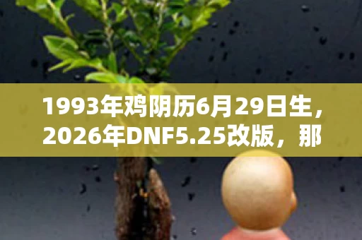 1993年鸡阴历6月29日生图片