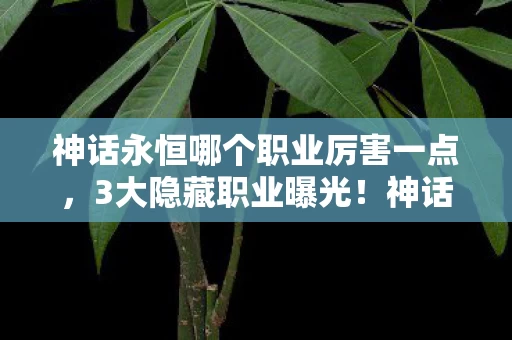神话永恒制作组打死不说的真相竟是图片