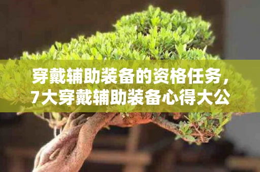 7大穿戴辅助装备心得大公开图片