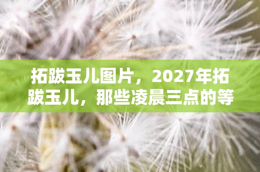2027年拓跋玉儿图片