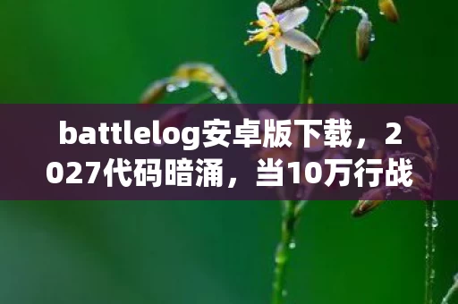 当10万行战术指令成为我唯一的社交盔甲图片