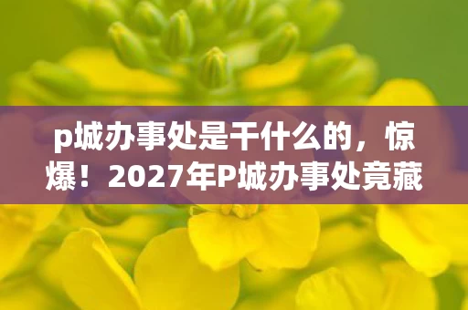 2027年P城办事处竟藏3大逆天秘密图片