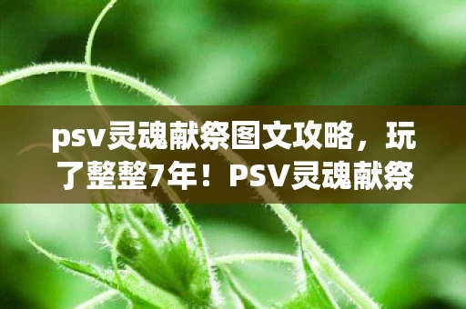 PSV灵魂献祭选救赎还是毁灭图片