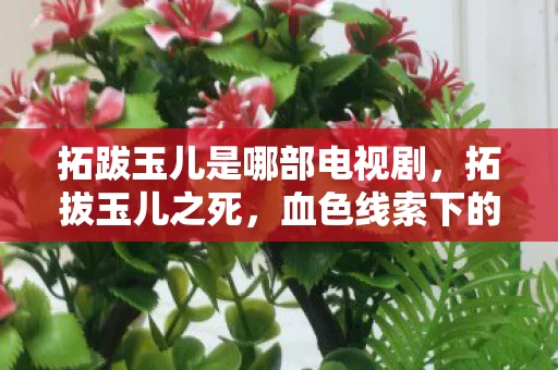 拓跋玉儿是哪部电视剧图片