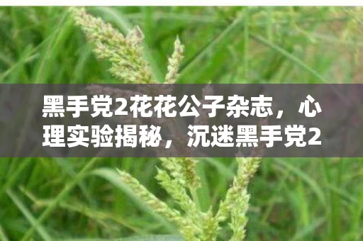 沉迷黑手党2花花公子的细思极恐自我麻醉图片