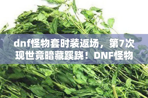 DNF怪物套背后真相让人后背发凉图片
