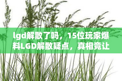 15位玩家爆料LGD解散疑点图片