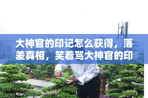 大神官的印记怎么获得图片