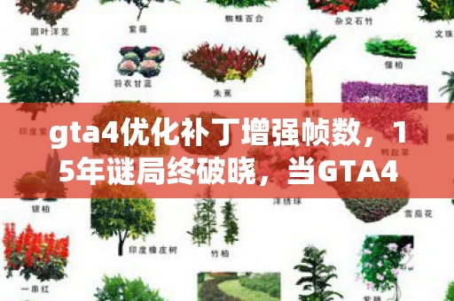 当GTA4优化补丁撕开时光裂缝图片