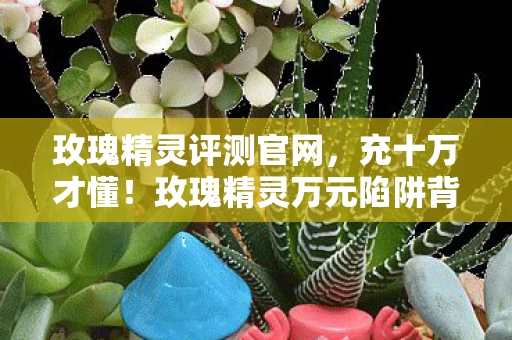 玫瑰精灵万元陷阱背后图片
