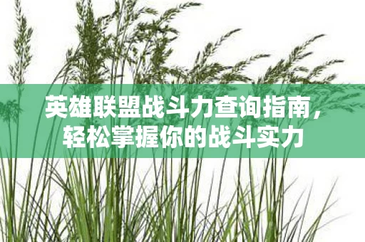英雄联盟战斗力查询指南图片