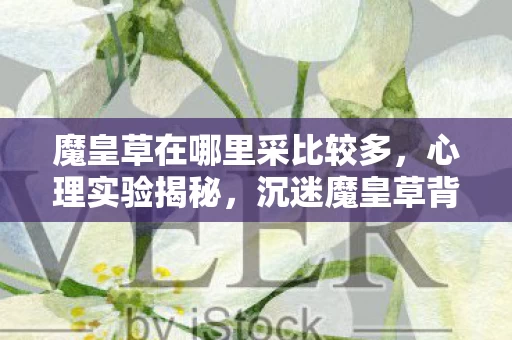 沉迷魔皇草背后的多巴胺陷阱图片