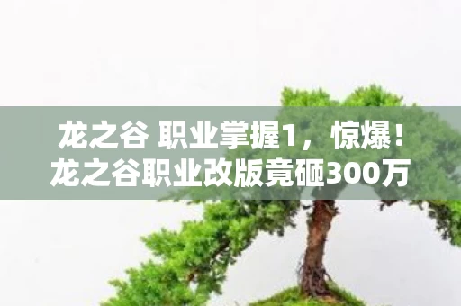 龙之谷职业改版竟砸300万图片