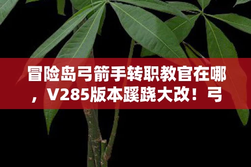 从全民狂热到集体沉默的十年图片