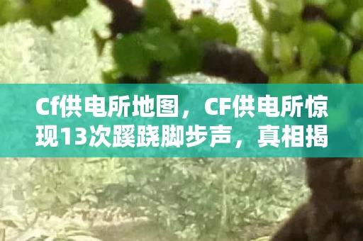CF供电所惊现13次蹊跷脚步声图片