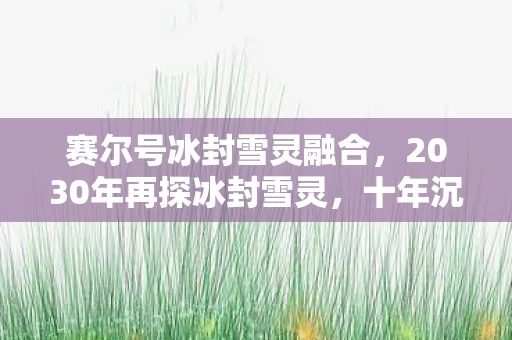 2030年再探冰封雪灵图片