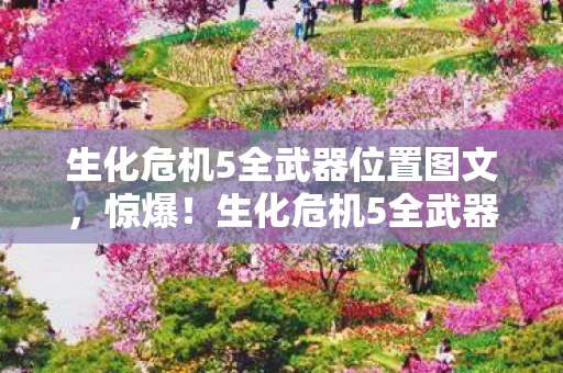 生化危机5全武器位置图文图片
