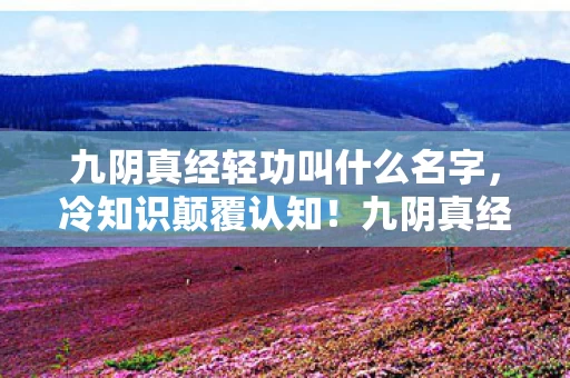 九阴真经轻功竟藏着目瞪口呆的时空炸弹图片