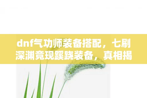 dnf气功师装备搭配图片
