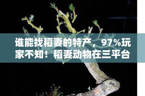 稻妻动物在三平台竟有如此操控反差图片