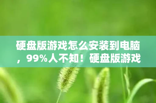 硬盘版游戏安装竟藏着这3个逆天隐藏玩法图片
