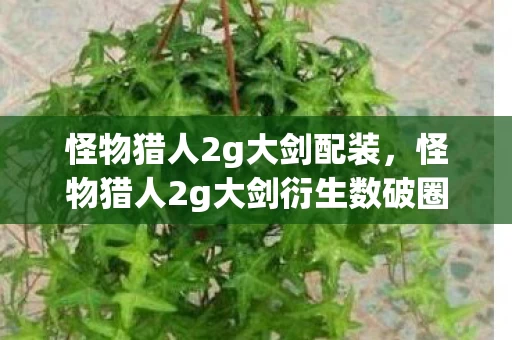 怪物猎人2g大剑衍生数破圈图片