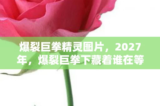 爆裂巨拳下藏着谁在等图片