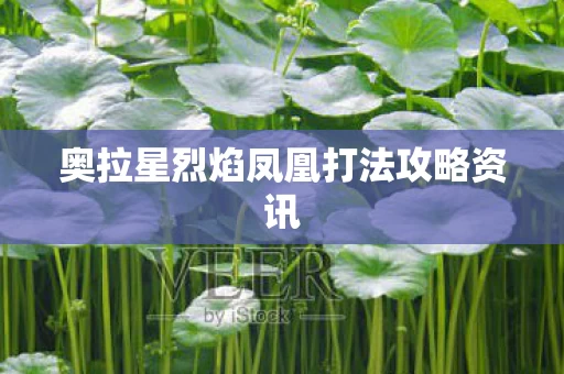 奥拉星烈焰凤凰打法攻略资讯图片