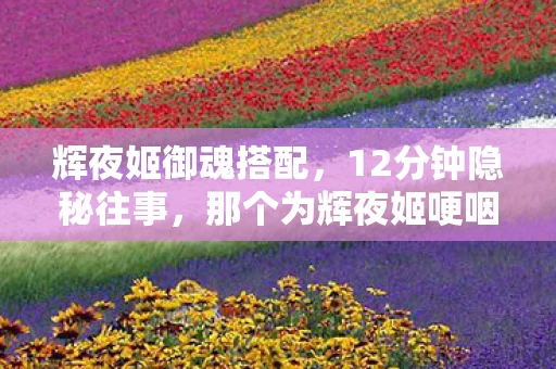 那个为辉夜姬哽咽的通宵图片
