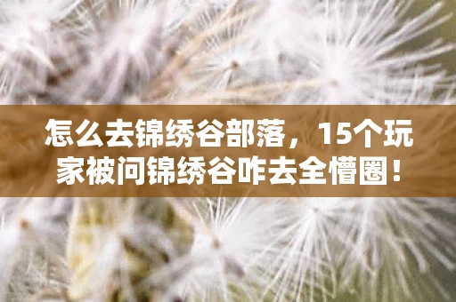 15个玩家被问锦绣谷咋去全懵圈图片