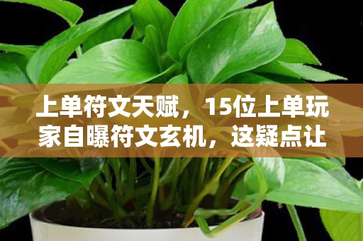15位上单玩家自曝符文玄机图片