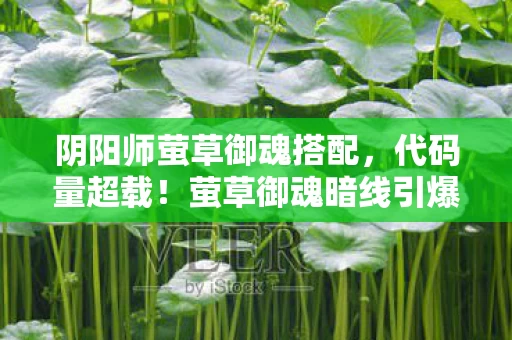头皮发麻的赛博式神暴动图片