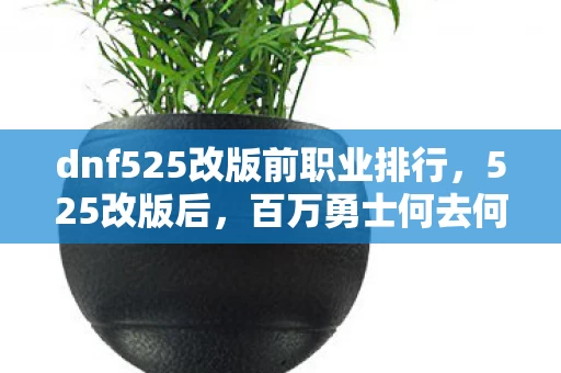 dnf525改版前职业排行图片