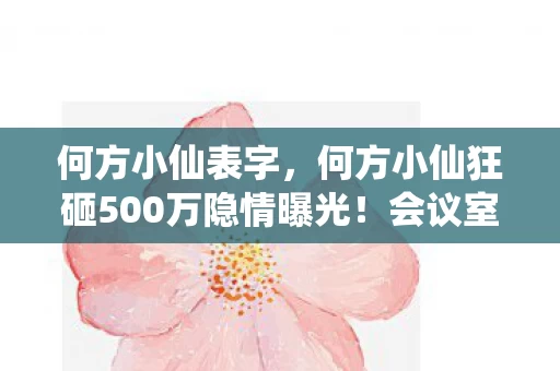 何方小仙狂砸500万隐情曝光图片