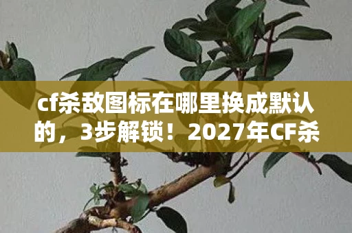 2027年CF杀敌图标竟能这样改图片