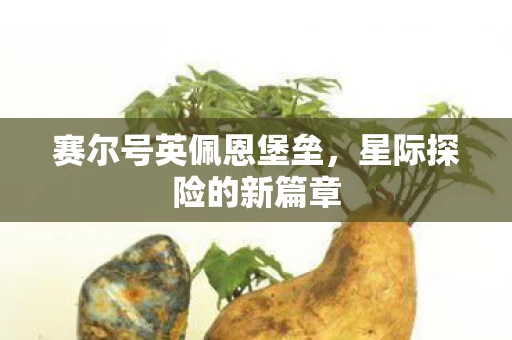 赛尔号英佩恩堡垒图片