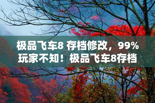 极品飞车8存档里竟藏着让心跳飙到200的秘密图片